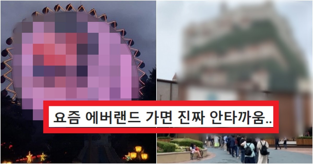 collage 135.jpg?resize=412,275 - '에버랜드 진짜 왜 가?' 요즘에 에버랜드 가는 사람들이 공통적으로 느낀다는 충격적인 생각(+사진)