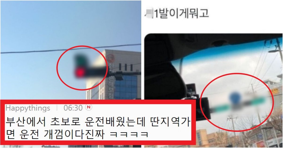 collage 225.jpg?resize=412,275 - '이게 뭐임???' 서울 사는 사람들이 '부산'에 놀러갔다가 충격적이면서 신기했던 '신호등'(+사진)