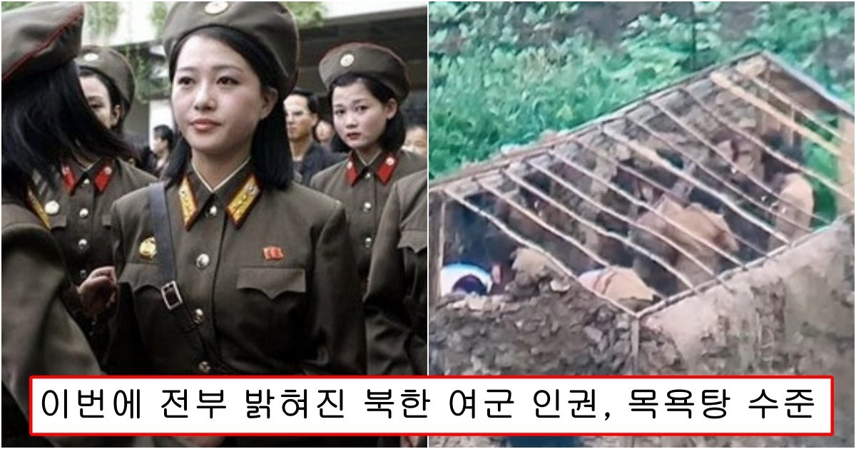 collage 3.jpg?resize=1200,630 - "인권은 찾기 힘든 수준.." 이번에 전부 공개돼서 폭로 터진 북한 여군들의 목욕탕 수준
