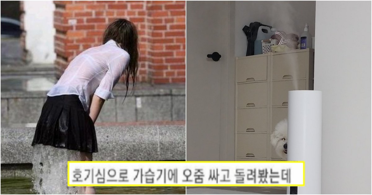 collage 75.jpg?resize=1200,630 - 궁금하다는 이유로 가습기에 자신의 오줌을 넣었던 에타인의 충격적인 최후