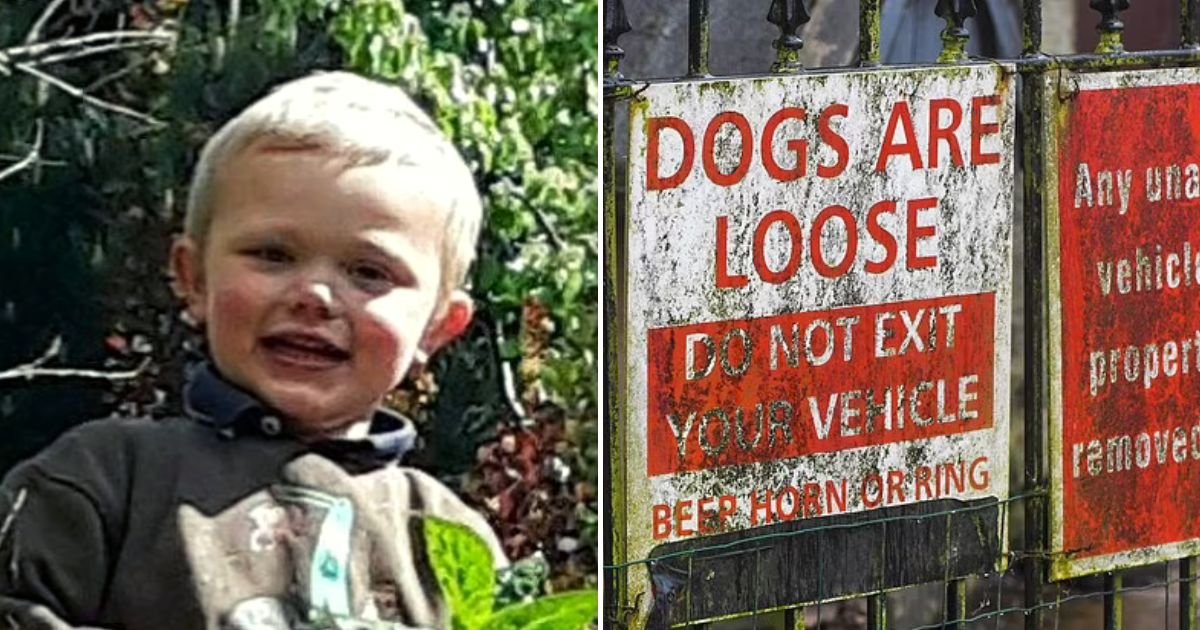 dogs5.jpg?resize=1200,630 - Grieving Family Of 3-Year-Old Boy Who Tragically Died Following A Dog Attack Pay Tribute To 'Happy, Kind, And Caring Little Boy'