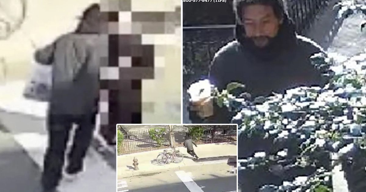 q6.jpg?resize=1200,630 - Hate Crime On The Rise In NYC As Chilling Footage Shows Stranger Randomly Punching Elderly Woman On The Streets