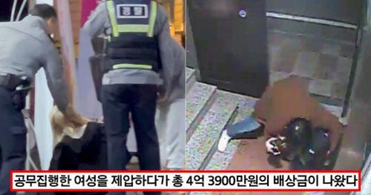 safe image 13.jpg?resize=412,275 - "그럼 도대체 제가 어떻게 해야했나요..?" 공무집행방해한 여성 이렇게 구속했다고 4억 벌금 받은 경찰