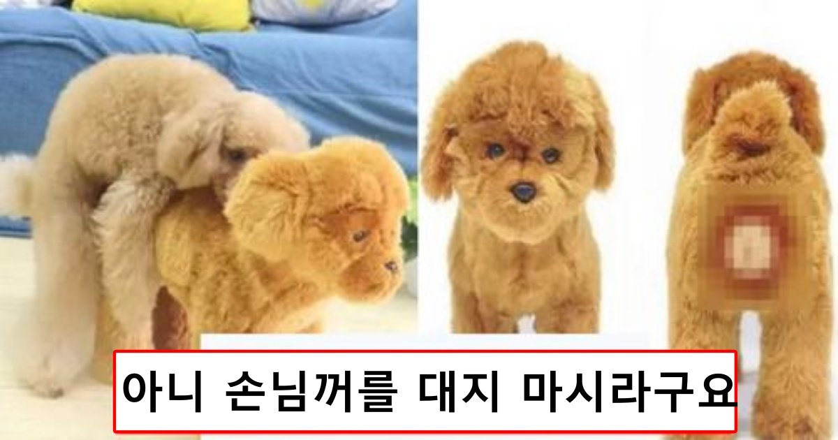 safe image 29.jpg?resize=1200,630 - "강아지용인데.." 댕댕이 성욕 해결해주는 80만원짜리 인형과 대참사