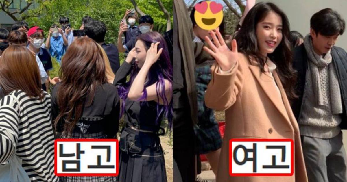 safe image 3.jpeg?resize=412,275 - 에스파 아이유 사례로 남고와 여고 수준 차이를 비교해줄게