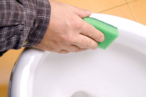 独男は独女よりもキレイ好き？ 独男の3人に1人は「トイレ掃除が好き」。 | Narinari.com
