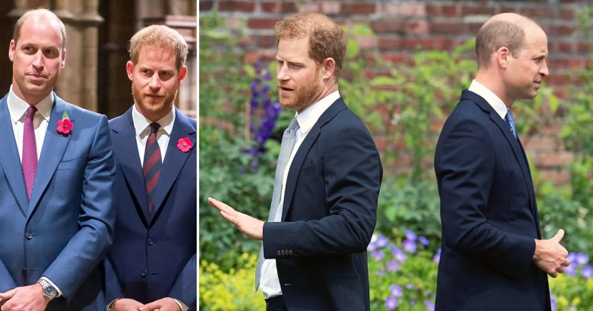 brothers4.jpg?resize=412,275 - 'Prince Harry Has Been Sucked Into An Alien World And Meghan Massively Disrespected Kate On Oprah Interview,' Prince William's Friends Say