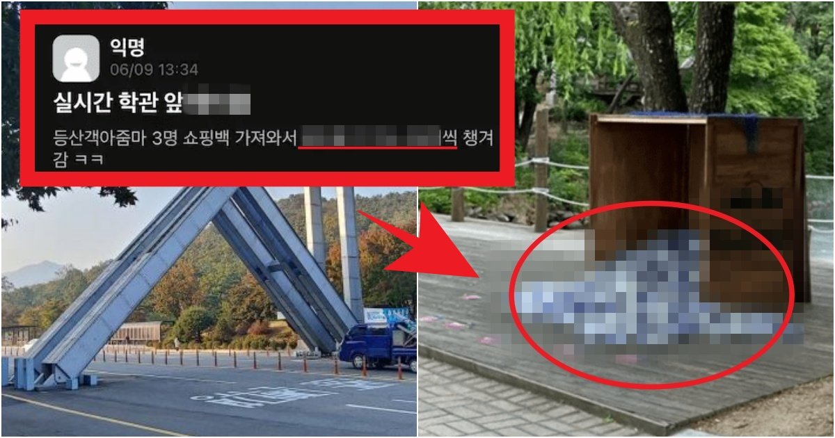 collage 118.jpg?resize=412,275 - '중국인 욕하지 마라 ㅋㅋ' 개교 이래 레전드 대참사가 발생했다는 '서울대학교' 현재 근황(+상황)