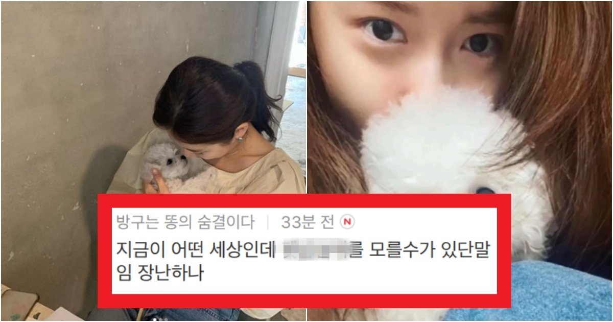 collage 226.jpg?resize=412,275 - '공구?인성?부자 ㄴㄴ' 연예인들이 하는 영업 중에 제일 '극혐'인 영업의 실체(+이유)