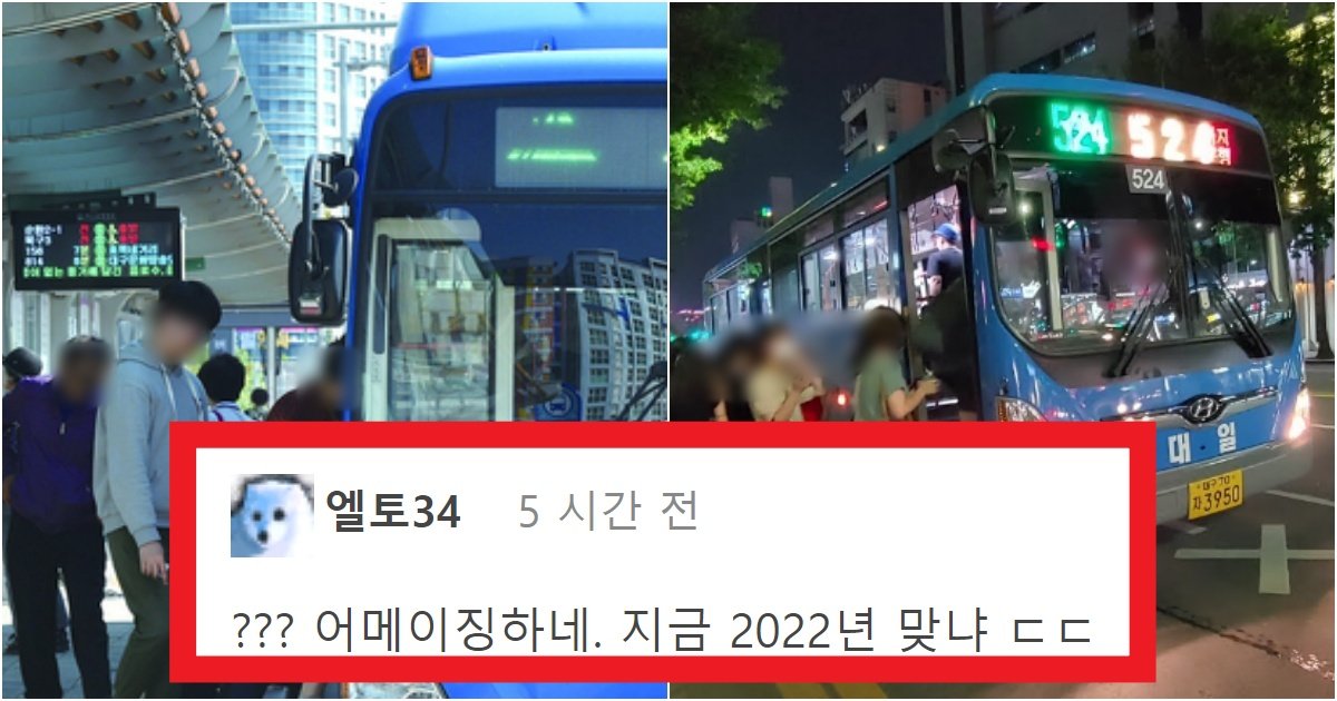 collage 268.jpg?resize=412,275 - '이게 당연한 거 아님?' 간절히 바래왔던 희소식인 '대구' 시내버스가 드디어 바뀐다는 소식(+충격주의)