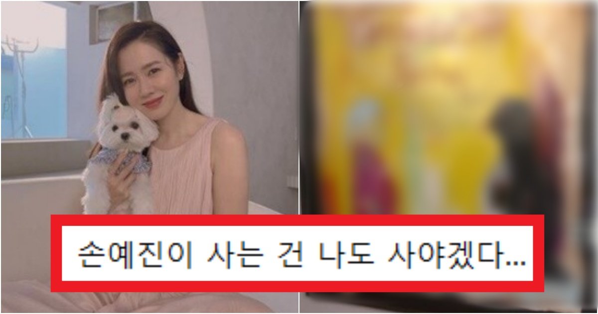 collage 7.jpg?resize=412,275 - '1300만원에서 3억..' 현빈의 그녀 손예진이 단기간에 재테크를 '이것'으로 해서 성공한 투자를 한 정체