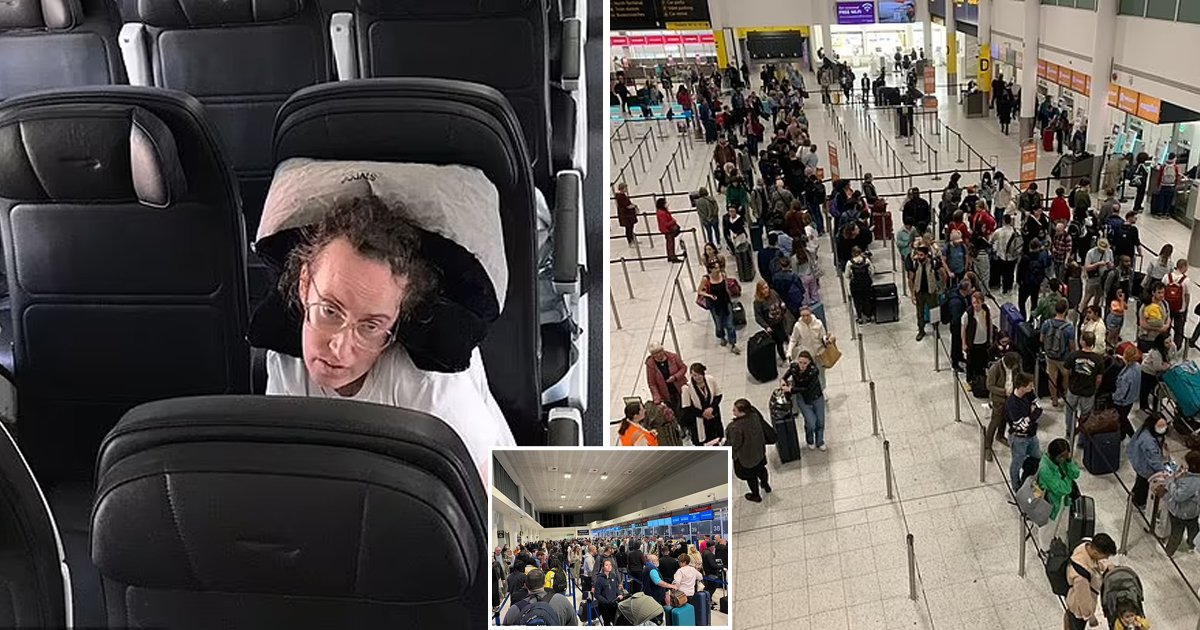 d28.jpg?resize=412,275 - Woman Paralyzed From The Neck Down Gets Stuck On A Plane For More Than 90 MINUTES Because NO Staff Turned Up To Push Her Wheelchair