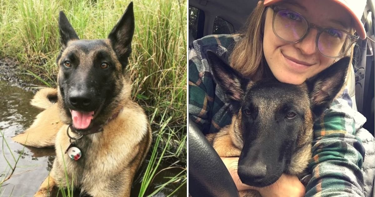 eva4.jpg?resize=1200,630 - Hero Dog That Suffered A Fractured Skull And Serious Injuries After Defending Her Owner From A Mountain Lion Attack Has Died