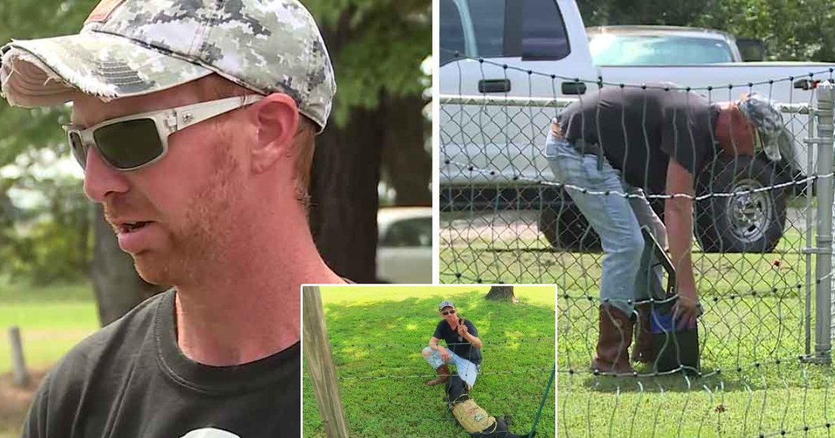 q3 2.png?resize=412,275 - Virginia Man Installs 'Electric Fence' Around His Yard Near The Bus Stop To Keep Young Children Off