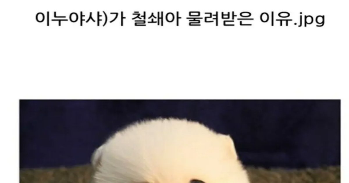 20220727154227.png?fit=1024%2C538&ssl=1&strip=all - 이누야샤가 철쇄아를 물려받은 이유