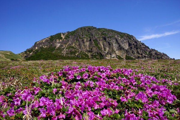 한라산국립공원 5월부터 탐방로 입.하산 통제시간 조정 - 헤드라인제주