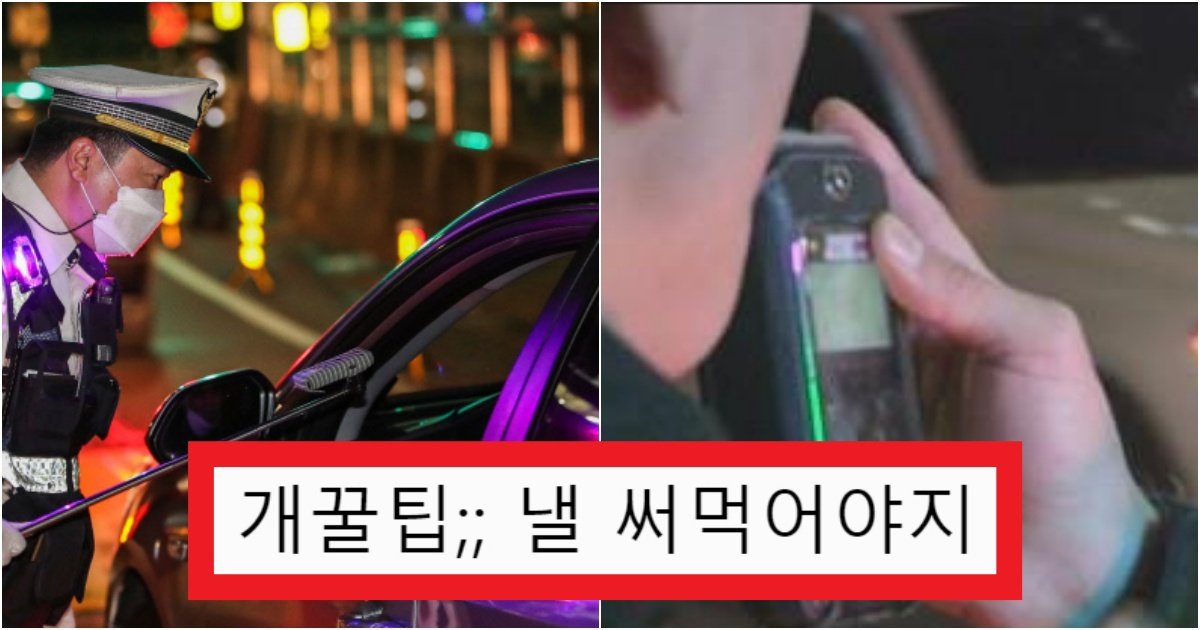 collage 126.jpg?resize=412,275 - '불어봐!!!' 음주 측정에 안 걸릴 수 있는 똑똑한 방법(+실험 결과)