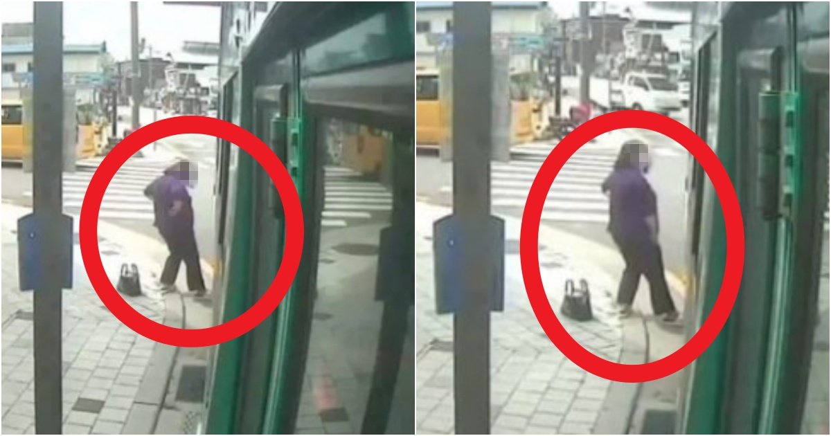 collage 127.jpg?resize=412,275 - 현재 커뮤니티에서 난리 나버린 '버스 자해공갈녀'가 벌인 충격적인 일(+실제 사진)