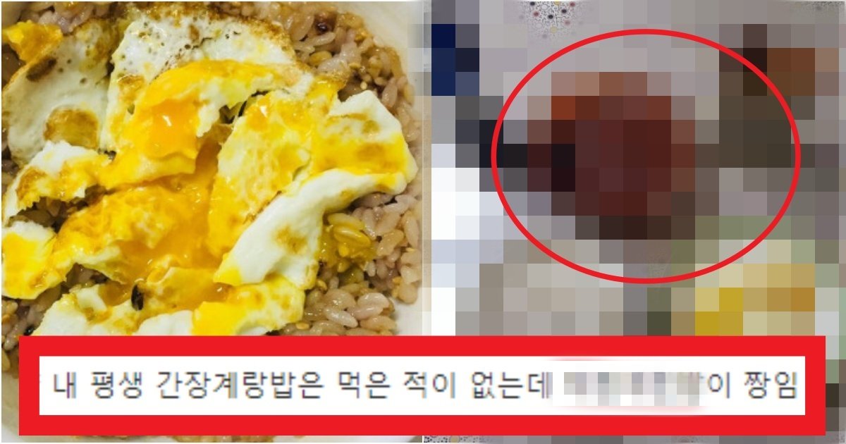collage 139.jpg?resize=412,275 - '아직도 모르는 사람 없지??' 절대 간장계란밥은 비비지 못하는 넘사벽 존맛 음식(+사진)