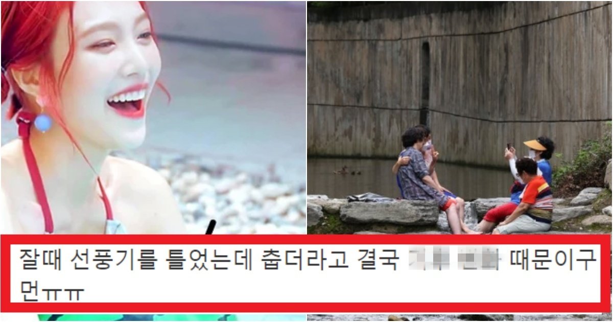 collage 191.jpg?resize=412,275 - '솔직히 덥다고???' 지금 한국 여름이 역대급으로 선선하다고 생각이 들 수 밖에 없는 이유