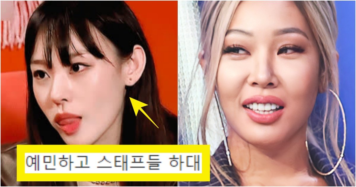 collage 207.jpg?resize=412,275 - '영원할 것 같니?' 중소기업은 철저히 무시한 시끄러운 노제에게 '제시'가 날려버린 일침