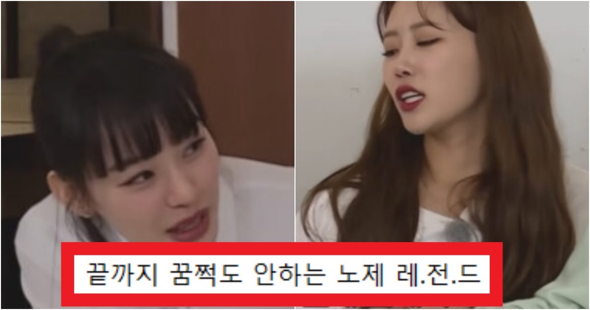 collage 213.jpg?resize=412,275 - '저 정도면 교육문제 아님???ㅋ' 유재석과 미주가 참다참다 '노제'한테 날려버린 일침(+실제)