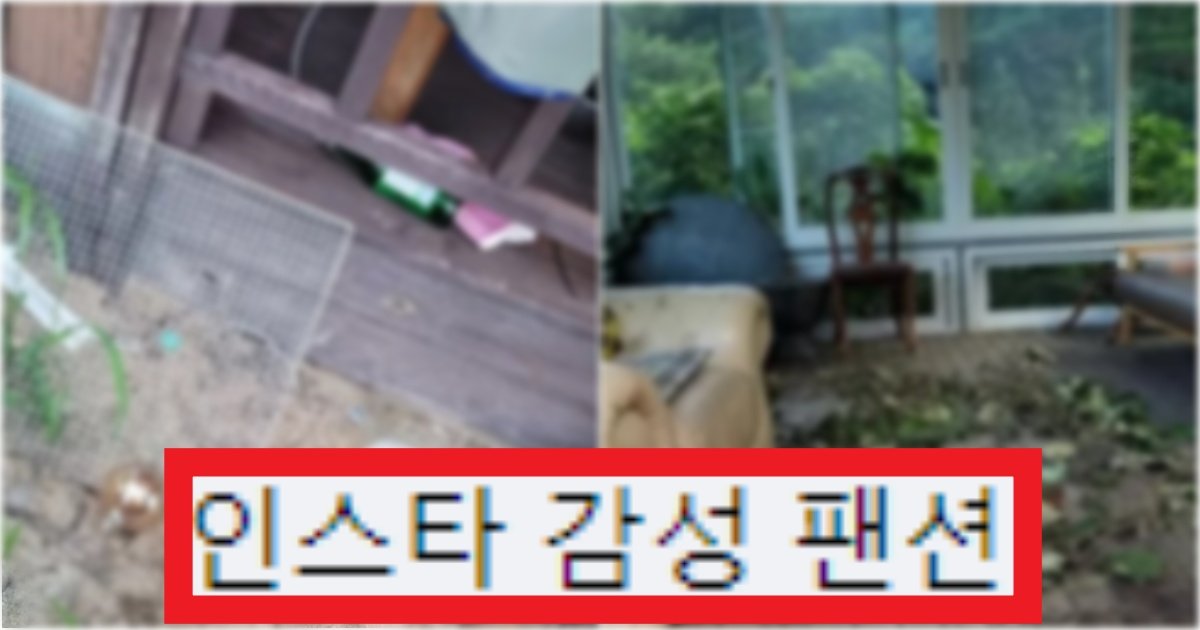 collage 228.jpg?resize=412,275 - '제가 진상임???' 1박에 18만 원 펜션을 보고 환불요청하니 '법적 조치'를 받은 상황(+실제사진)
