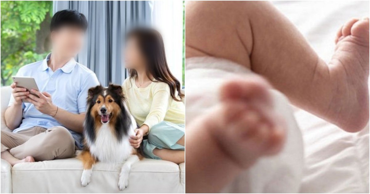 collage 252.jpg?resize=412,275 - '현재 또 임신을 한 상태..' 반려견은 돌보지만 2살 딸은 굶겨 '개 배설물+사료'를 준 21살 엄마