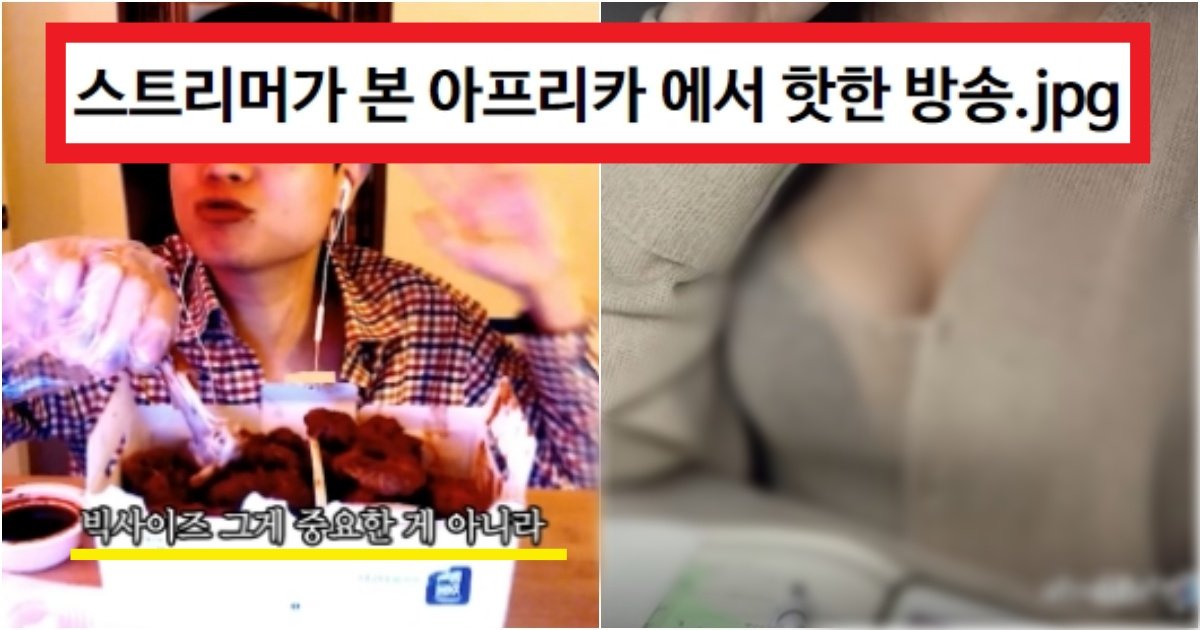 collage 253.jpg?resize=412,275 - '단순히 큰게 중요 ㄴㄴ' 요즘 사람들사이에서 역대급 핫한 방송의 수준(+이유)