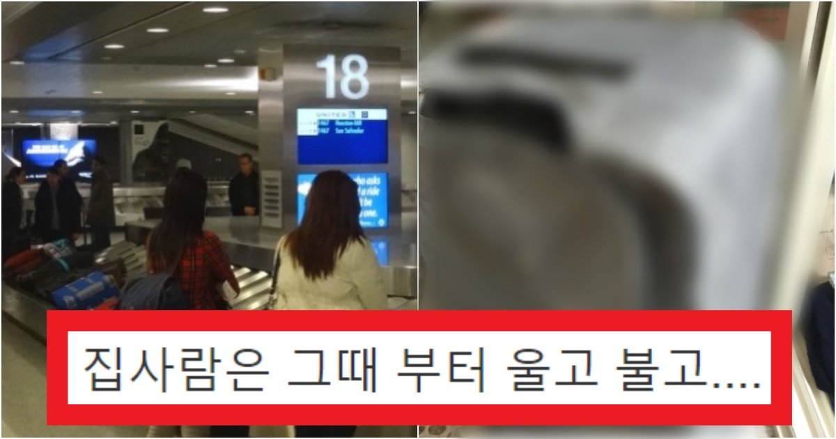 collage 256.jpg?resize=412,275 - '여행 갈 때 진짜 빼세요;;' 캐리어에 '이것'들 넣으면 털려버리는 상황(+실제 댓글 반응)