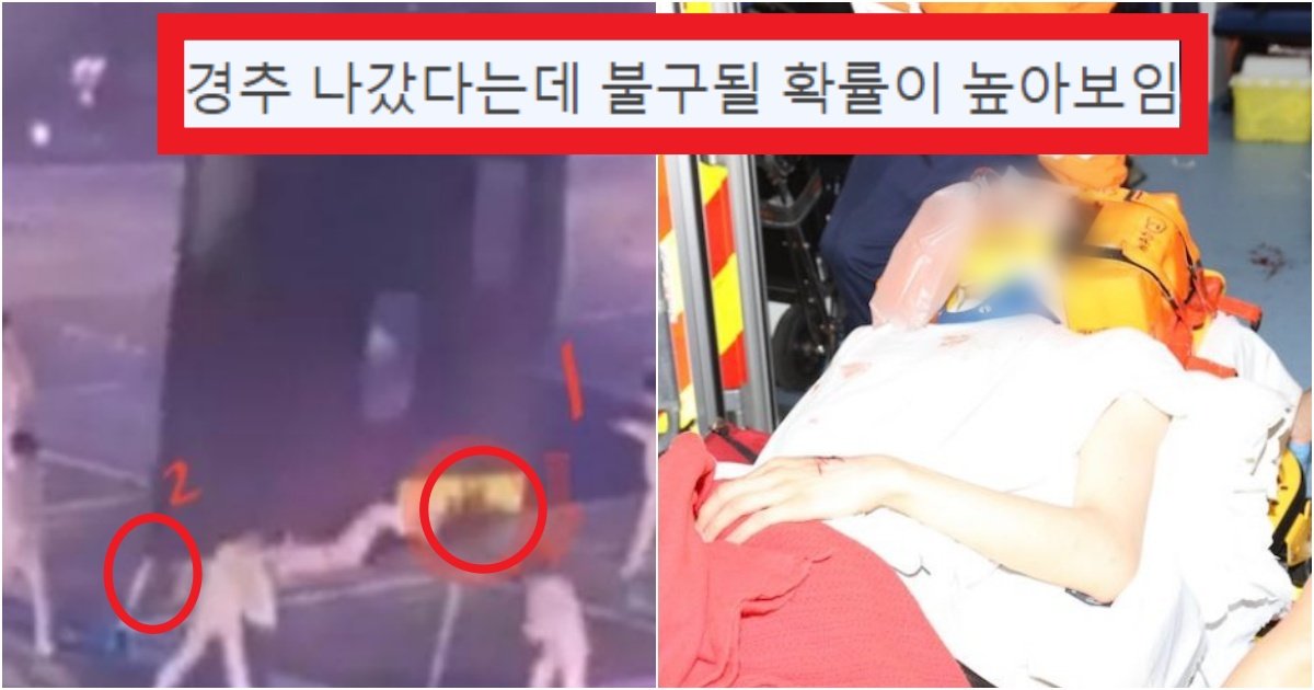 collage 329.jpg?resize=412,275 - '제대로 깔렸는데..?' 실시간 홍콩 아이돌이 첫 콘서트 중 역대급 '대형 사고'(+아이돌 상황)