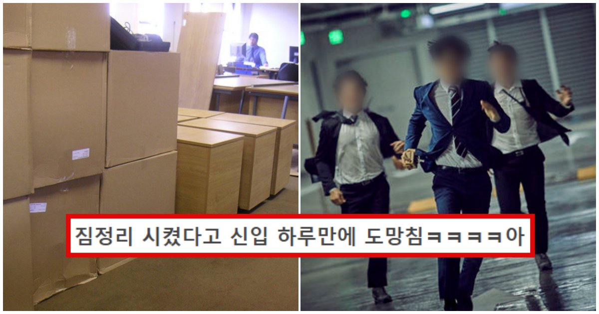 collage 48.png?resize=412,232 - "신입이 책임감 없다 vs 회사가 이상하다" 첫 출근날 짐 정리시켰다고 도망쳐버린 신입