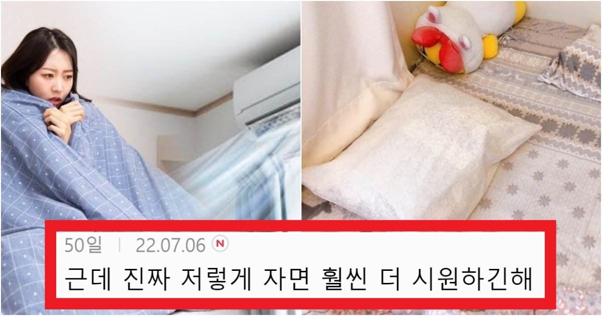 collage 53.jpg?resize=412,275 - '모아뒀더니 다 쓸 때가 있음!!!' 여름에 에어컨 없어도 시원해질 수 있는 꿀TIP(+방법)