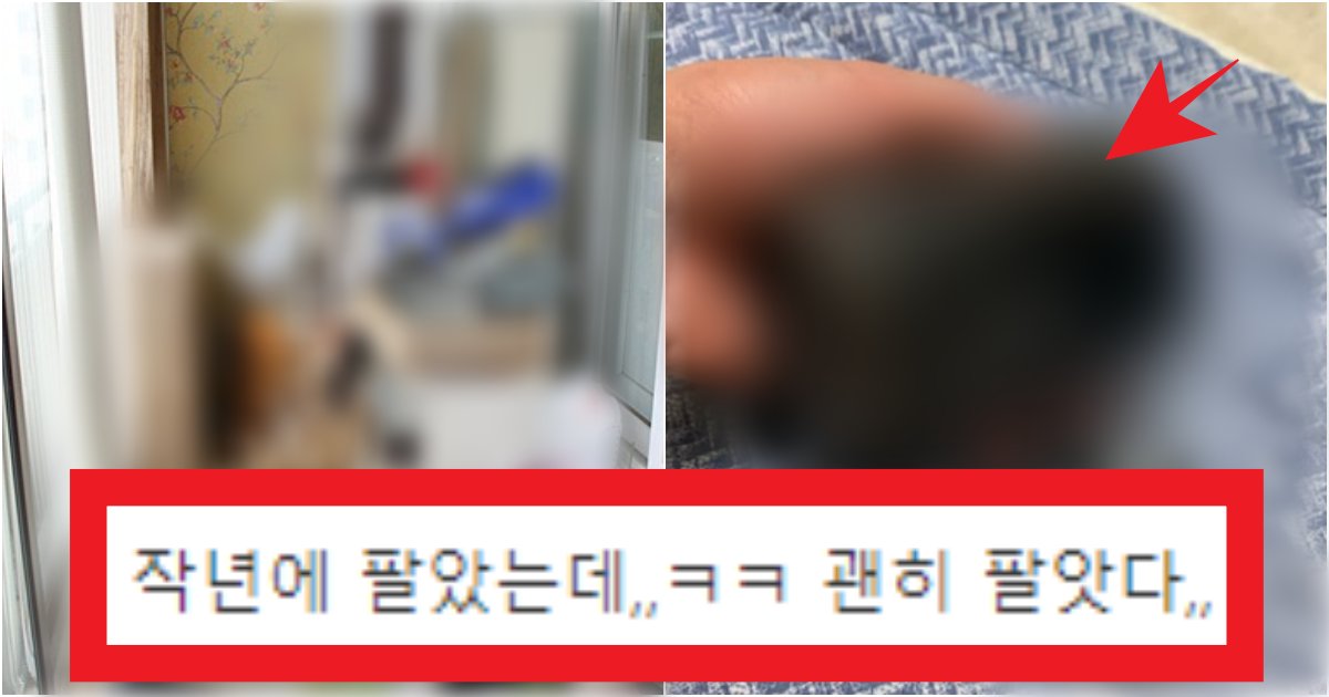 collage 58.png?resize=412,275 - '집에 있는 사람은 행운...' 현재 다시 유행해서 많은 사람들이 후회하고 있는 아이템(+사진)