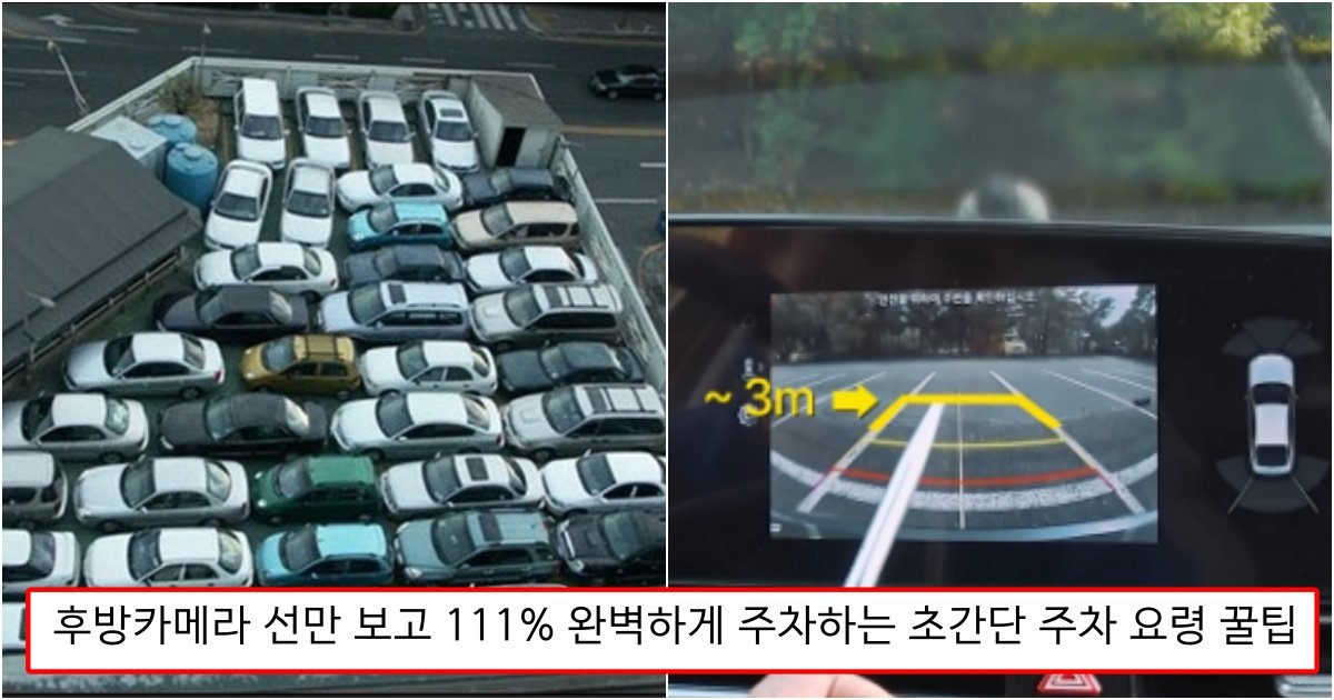 collage 6.jpg?resize=412,275 - "좁다고 무서워할 필요없다.." 후방카메라 선만 보고 111% 완벽하게 주차하는 초간단 주차 요령 꿀팁