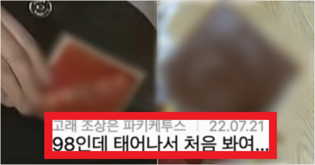 collage 65.png?resize=412,275 - '솔직히 이거 미니쉘 원조ㅋㅋ' 이거 아는 사람 최소 '몇 살'인지 궁금해지는 아이템(+정체)