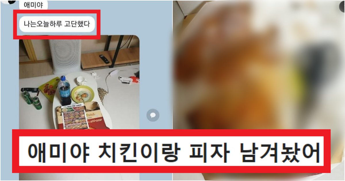 collage 77.png?resize=412,275 - "애미야 나는 오늘 힘들었지만 널 위해 치킨이랑 피자 남겨놨다 욕봐"(+사진, 연예인 실제상황)