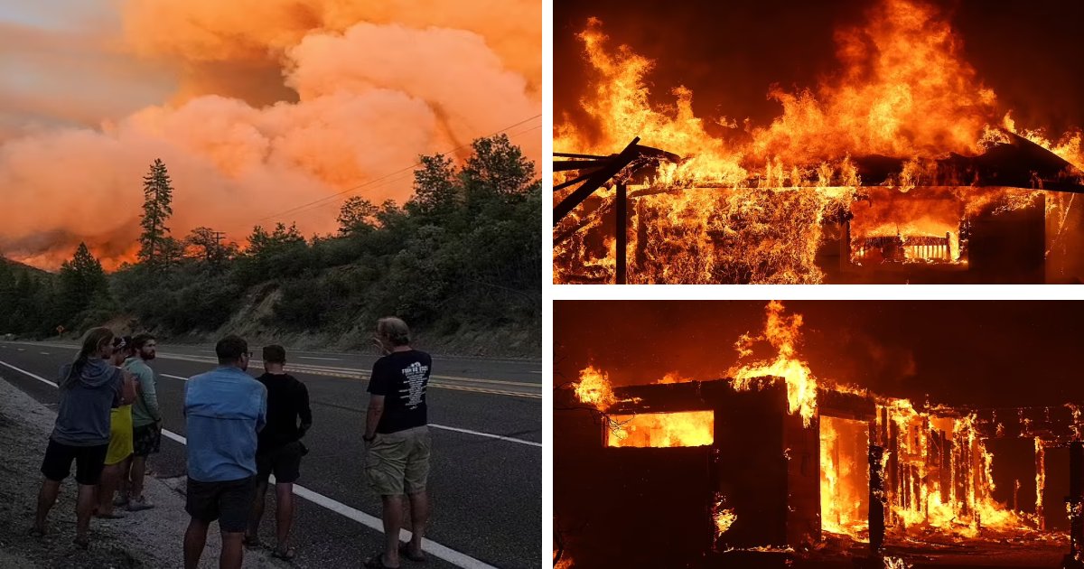 d23.png?fit=1024%2C538&ssl=1&strip=all - BREAKING: Massive Wildfire Near Yosemite National Park EXPLODES To Record Breaking '6,555 Acres'