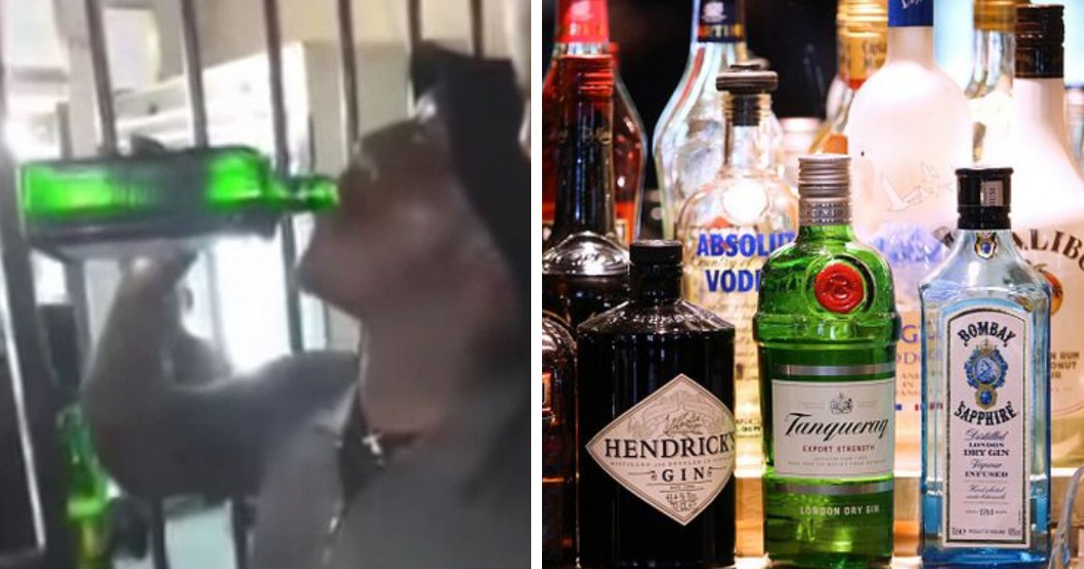 d4 1 1.png?fit=1024%2C538&ssl=1&strip=all - JUST IN: Young Man Collapses To The Ground & DIES After Drinking An ENTIRE Bottle Of Booze