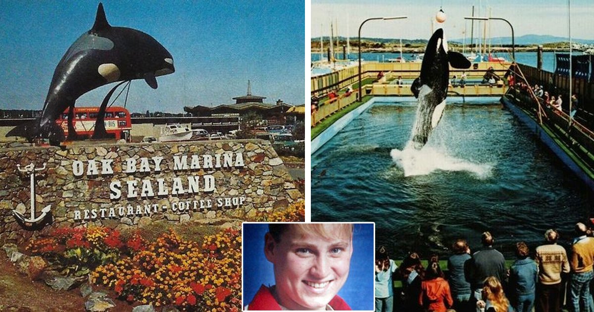 d42.jpg?resize=412,232 - BREAKING: 'Psychotic' Trio Of Killer Whales DROWN 'Loving' Student After She Slipped And Fell Into An Orca Pool