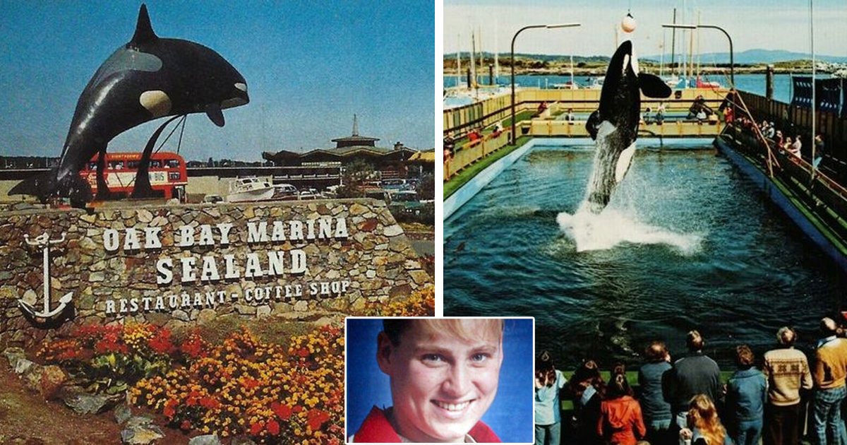 d42.jpg?fit=1024%2C538&ssl=1&strip=all - BREAKING: 'Psychotic' Trio Of Killer Whales DROWN 'Loving' Student After She Slipped And Fell Into An Orca Pool