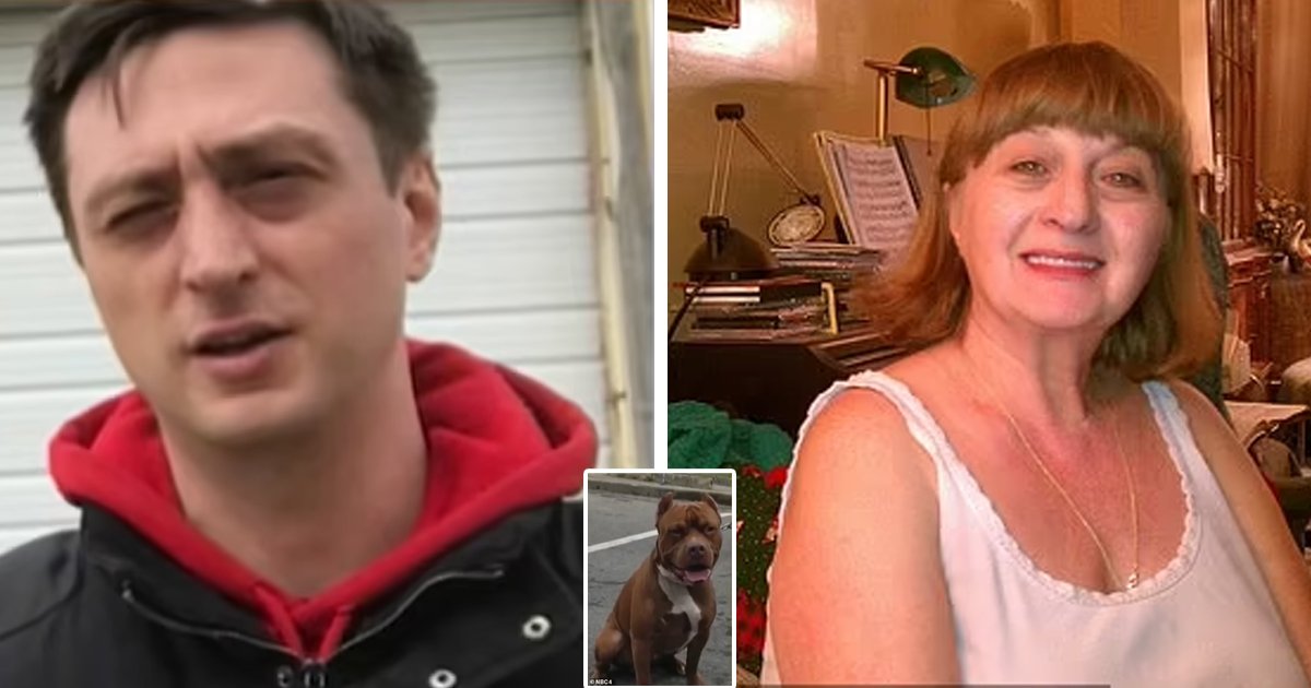 d54.jpg?fit=1024%2C538&ssl=1&strip=all - JUST IN: Pitbull Rips Into 70-Year-Old Woman After Entering Her Backyard In A Horror Attack That Left Her DEAD In Minutes