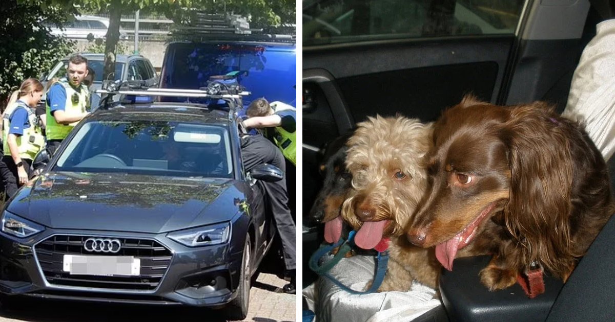 d8 1 1.png?resize=412,275 - JUST IN: Six Officers SMASH Audi's Back To Rescue Dog TRAPPED Inside Overheated Vehicle