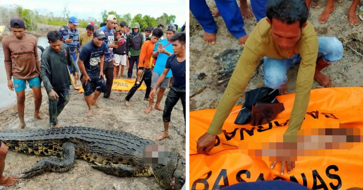 BREAKING: Heartbreak As 19ft Crocodile Cut Open After SWALLOWING Woman ...