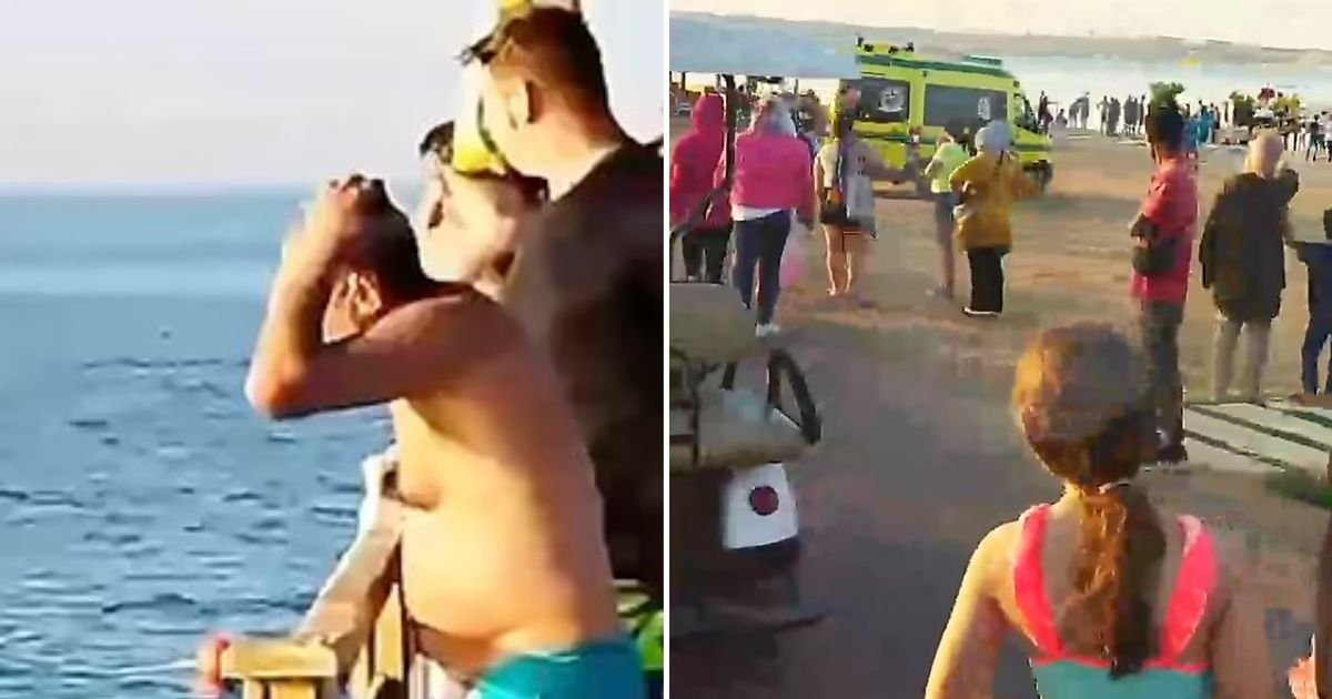 elderly5.jpg?fit=1024%2C538&ssl=1&strip=all - 68-Year-Old Woman Had Her Arm And Leg RIPPED Off At Resort After A Shark Attacked Her As Horrified Tourists Watch From Beach