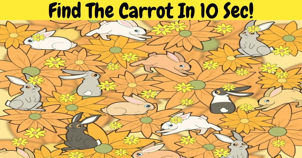 find the carrot in 10 sec.jpg?resize=412,275 - 1 In 10 Viewers Couldn’t Find The Bunnies' Missing CARROT! But Can You?