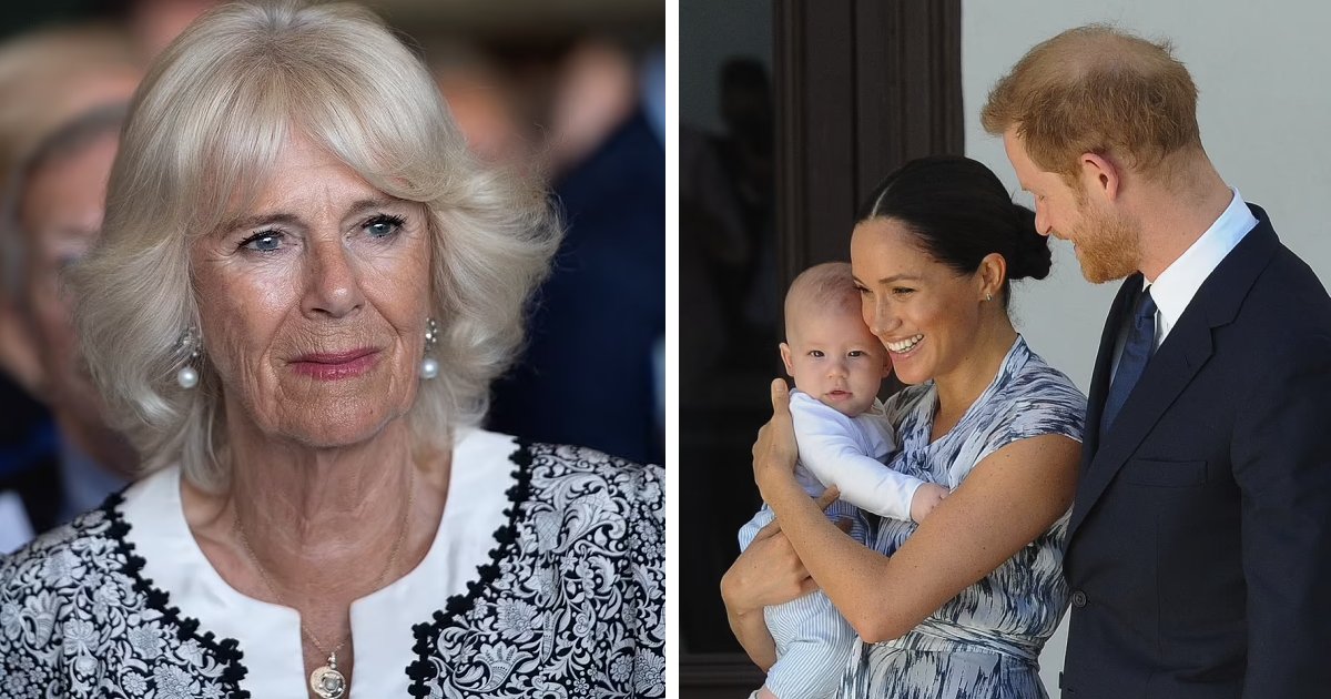 q2 4.png?resize=1200,630 - BREAKING: "Camilla JOKED About Harry & Meghan's Unborn Baby Having A Ginger Afro"- Palace Insiders REJECT Rumors & Term It Rubbish