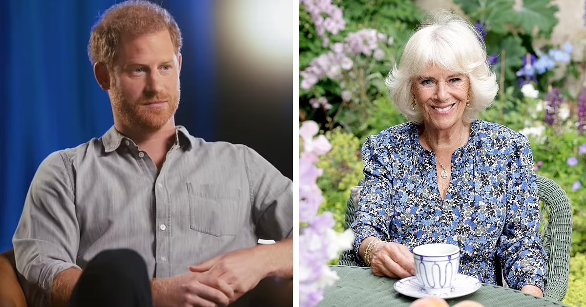 t1 4.png?resize=1200,630 - JUST IN: Prince Harry Has ZERO Respect For Camilla, Confirms Royal Insider