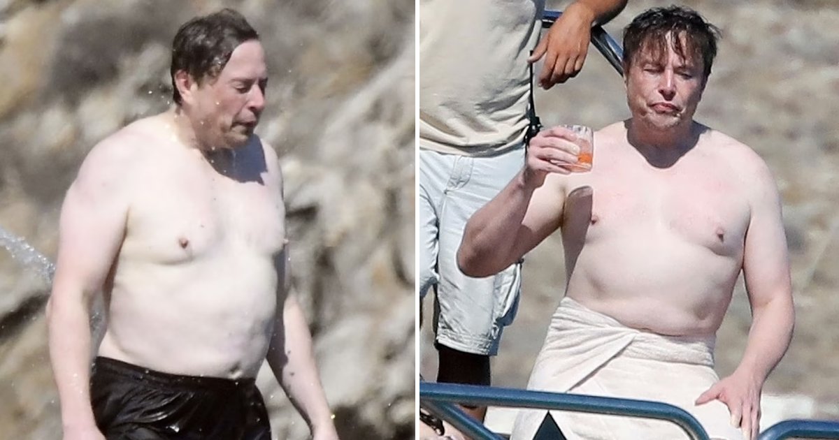 t2 3.png?resize=412,275 - EXCLUSIVE: Elon Musk Pictured Carefree In Mykonos After Revealing He's Fathered TEN Children By THREE Different Woman