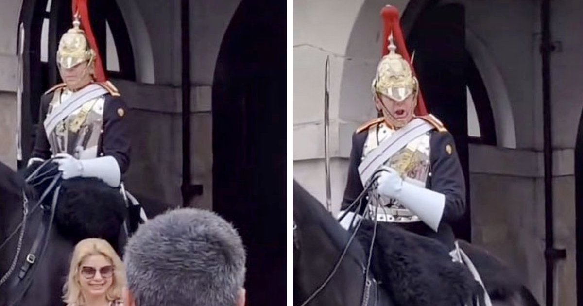 t5 5.png?resize=1200,630 - Queen's Guard Leaves Tourist STUNNED After He Was Caught SCREAMING At Her For Touching His Horse